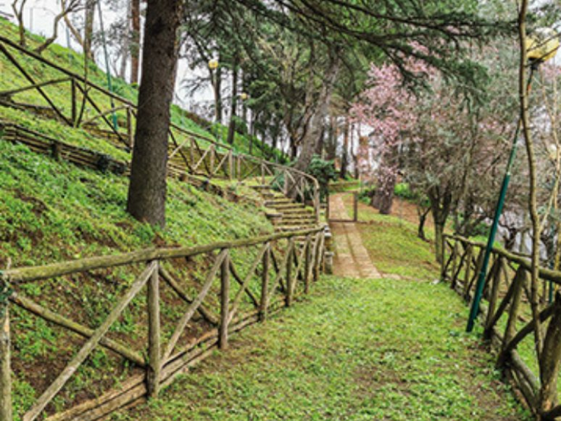 Parco Toffanelli
